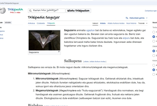 ikasleak sortutakoa