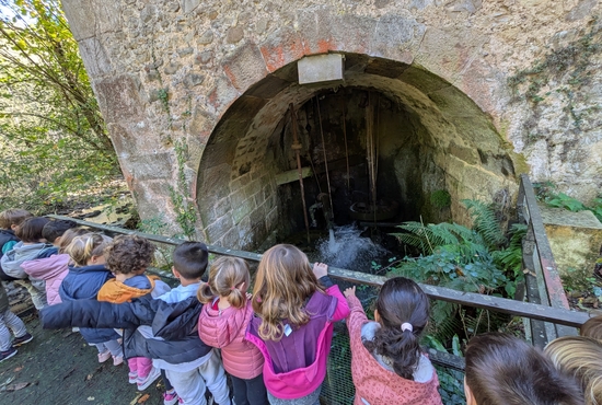 Barandiaran museoan HHkoak