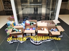 Sahararen alde jana bilketa