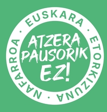 Nafarroako Ikastolak protestan